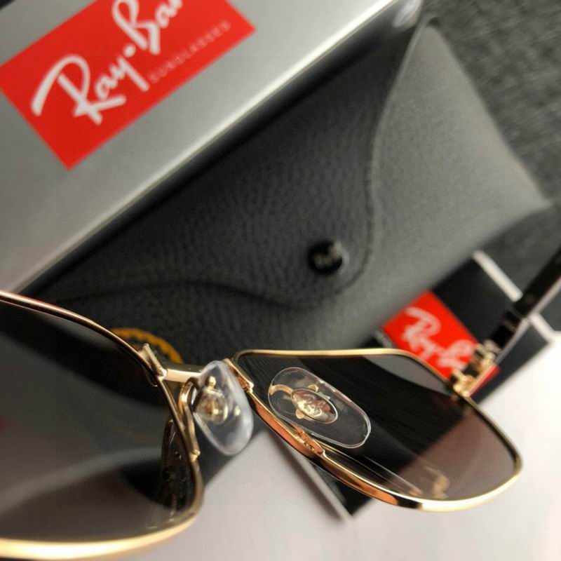 Rayban Glasses (274)